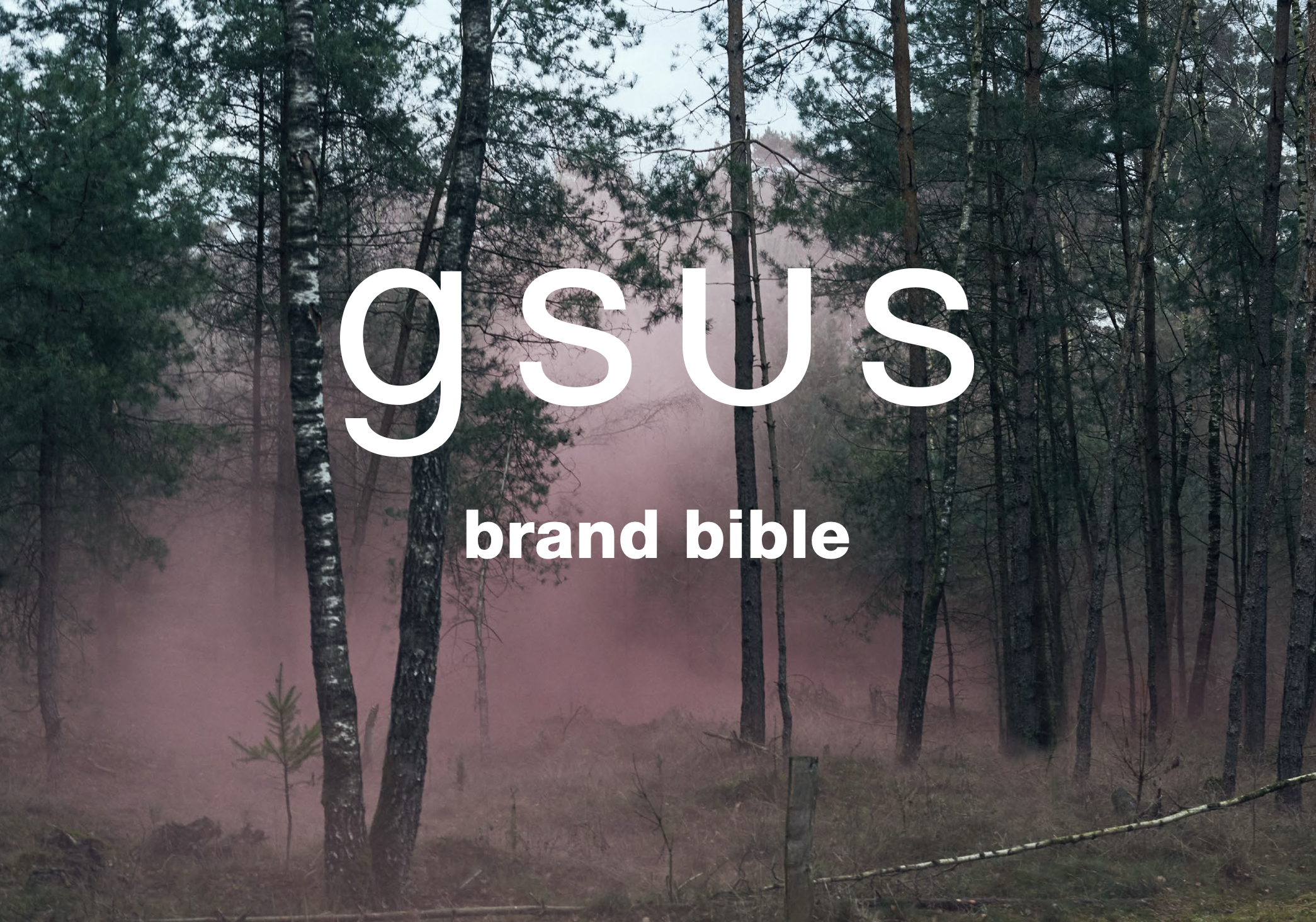gsus project